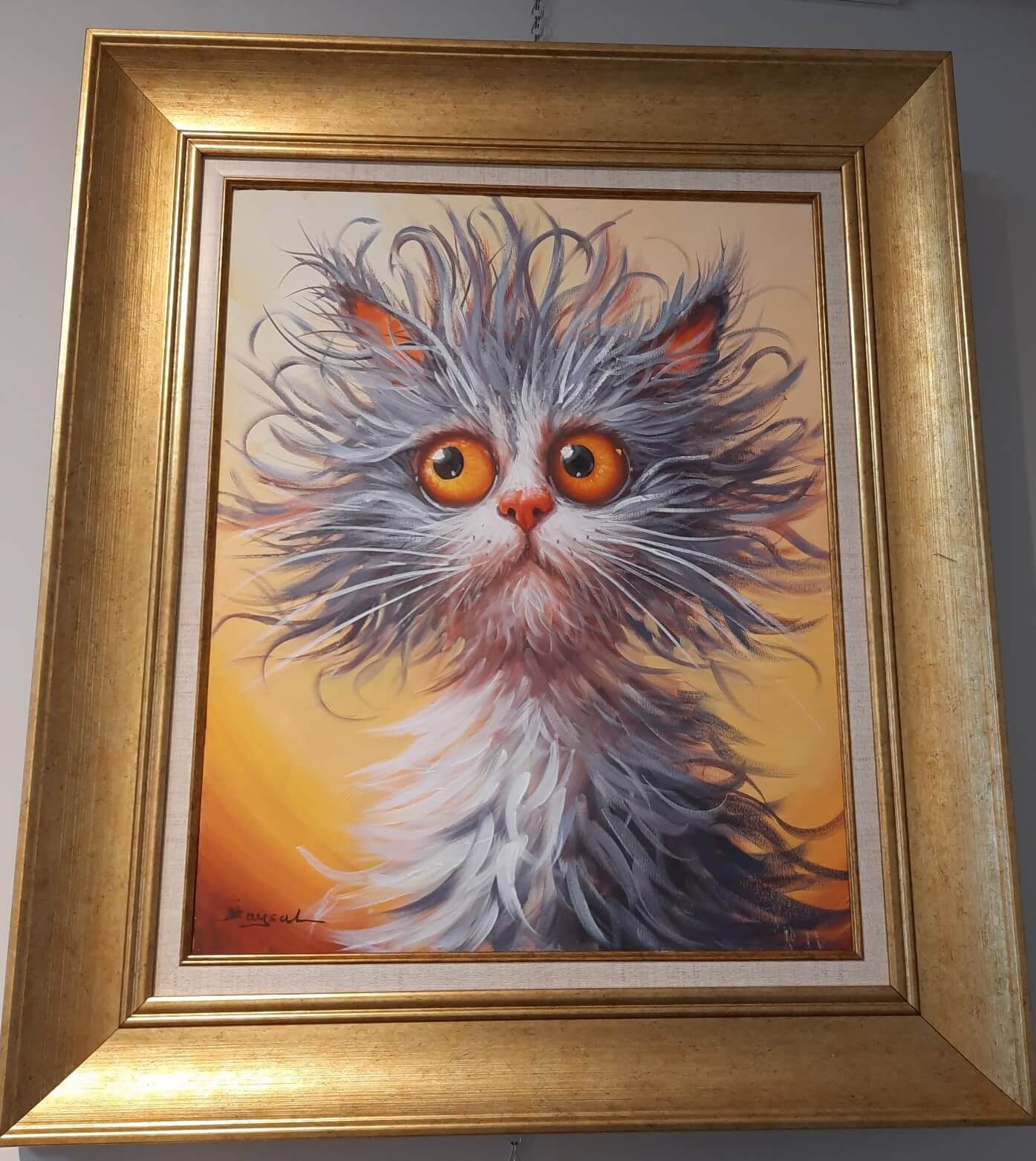 FAYSAL ÇAKMAZ KEDİ